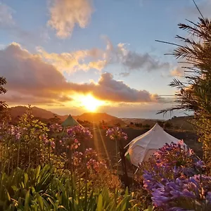 https://lotus-yurt.tenerifehoteles.net