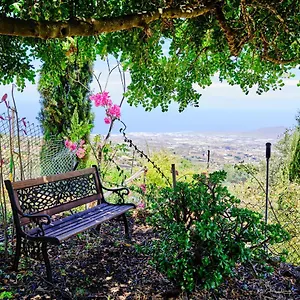 Tizziri Rural Casa rural Santa Cruz de Tenerife